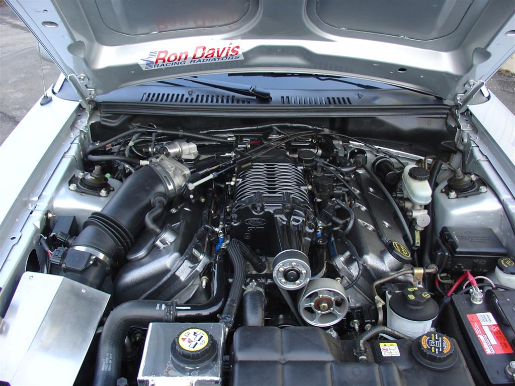 POST engine bay pics please! | SVTPerformance.com